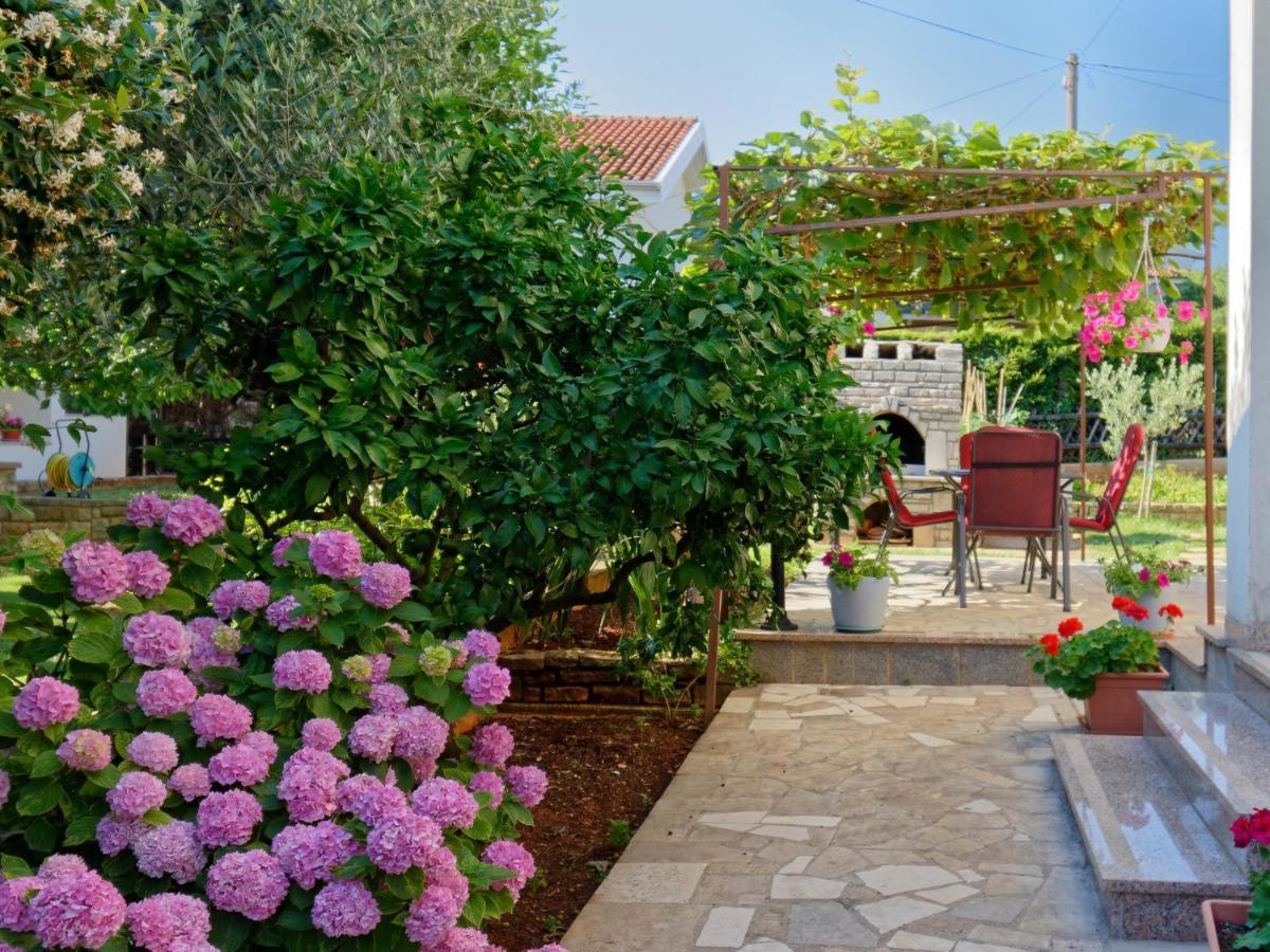 Apartments Marta By Rent Istria Novigrad  Zewnętrze zdjęcie